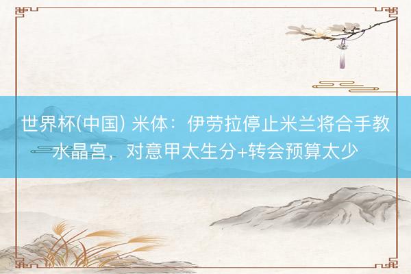 世界杯(中国) 米体：伊劳拉停止米兰将合手教水晶