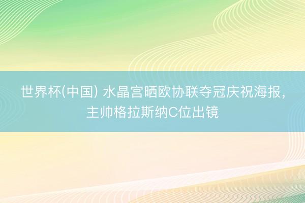 世界杯(中国) 水晶宫晒欧协联夺冠庆祝海报，主帅