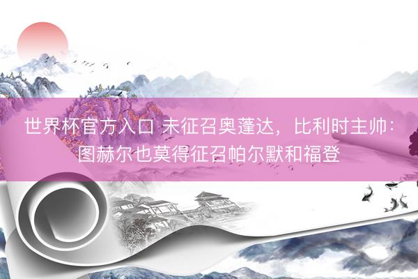 世界杯官方入口 未征召奥蓬达，比利时主帅：图赫尔也莫得征召帕尔默和福登