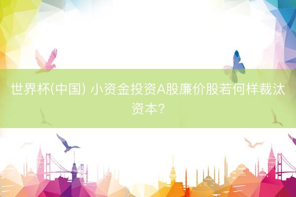 世界杯(中国) 小资金投资A股廉价股若何样裁汰资本?