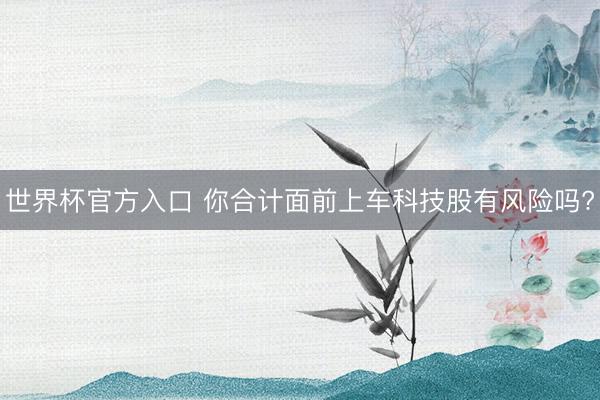 世界杯官方入口 你合计面前上车科技股有风险吗?