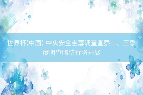 世界杯(中国) 中央安全坐蓐调查查察二、三季度明查暗访行将开展