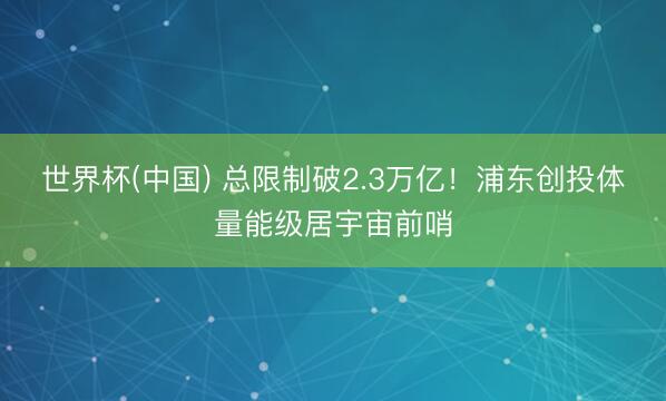 世界杯(中国) 总限制破2.3万亿！浦东创投体量能级居宇宙前哨