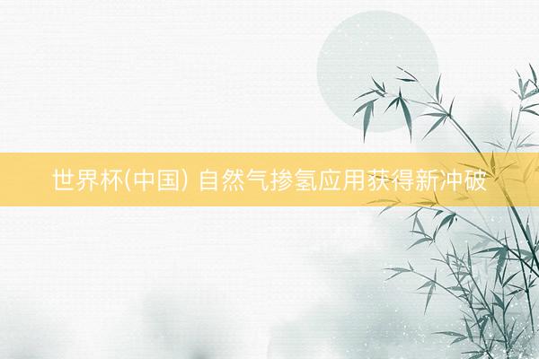 世界杯(中国) 自然气掺氢应用获得新冲破