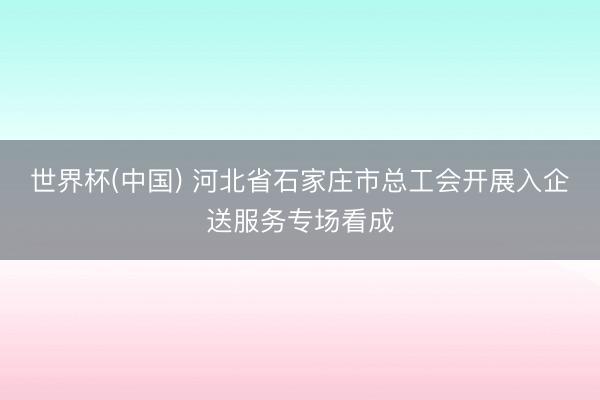 世界杯(中国) 河北省石家庄市总工会开展入企送服务专场看成