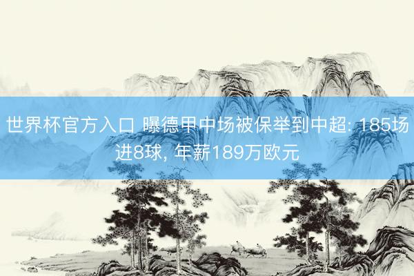 世界杯官方入口 曝德甲中场被保举到中超: 185场进8球， 年薪189万欧元