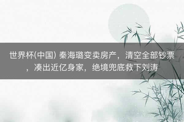 世界杯(中国) 秦海璐变卖房产，清空全部钞票，凑出近亿身家，绝境兜底救下刘涛